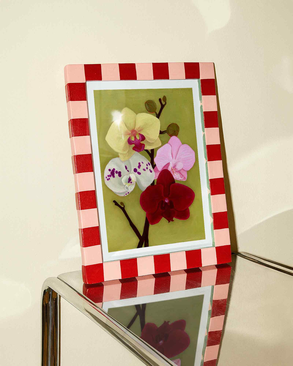 Orchid Daydream