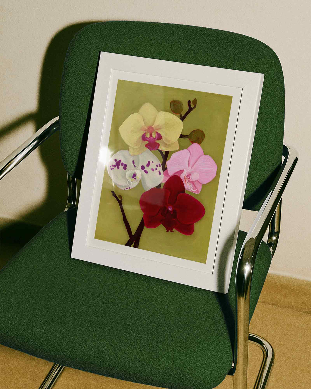 Orchid Daydream