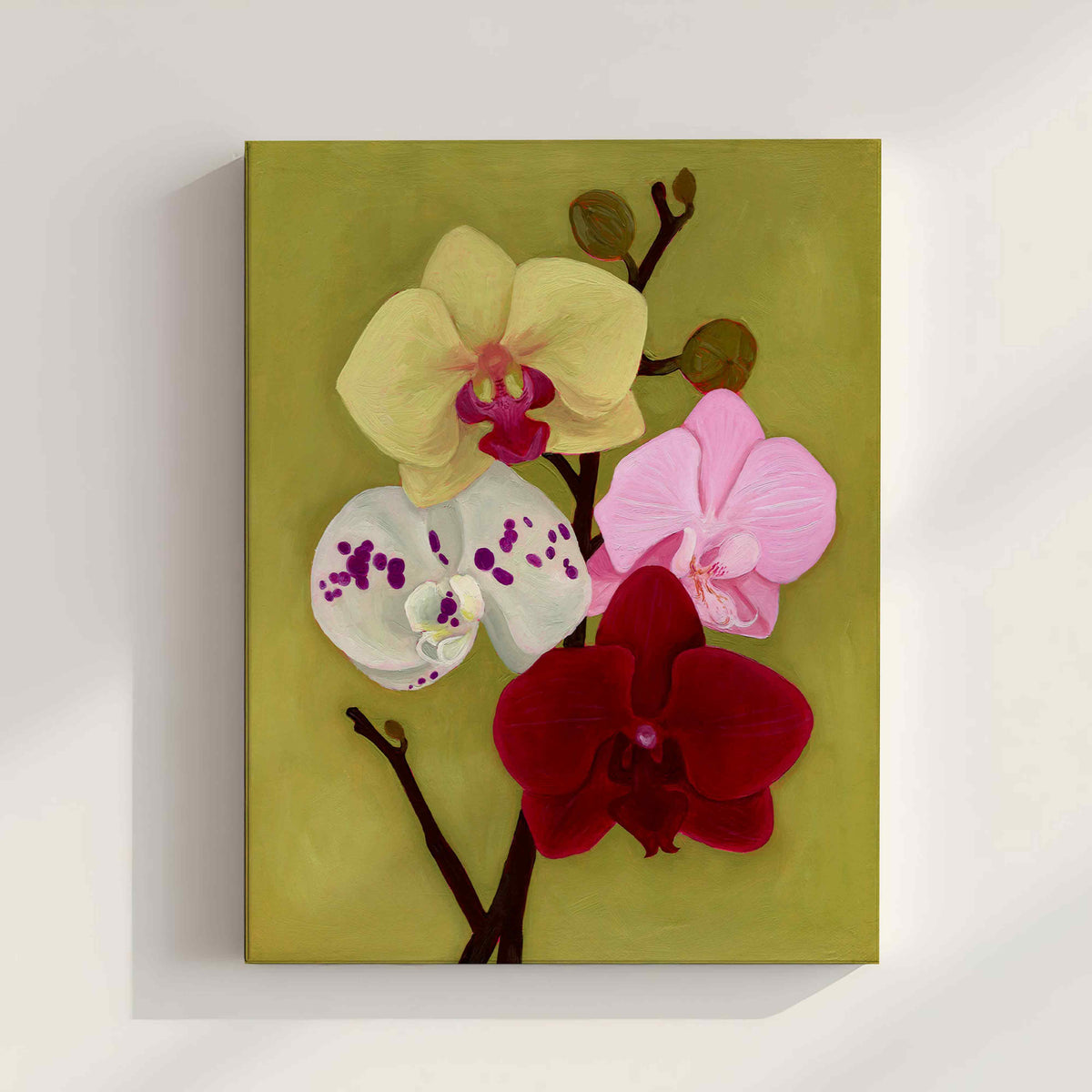 Orchid Daydream