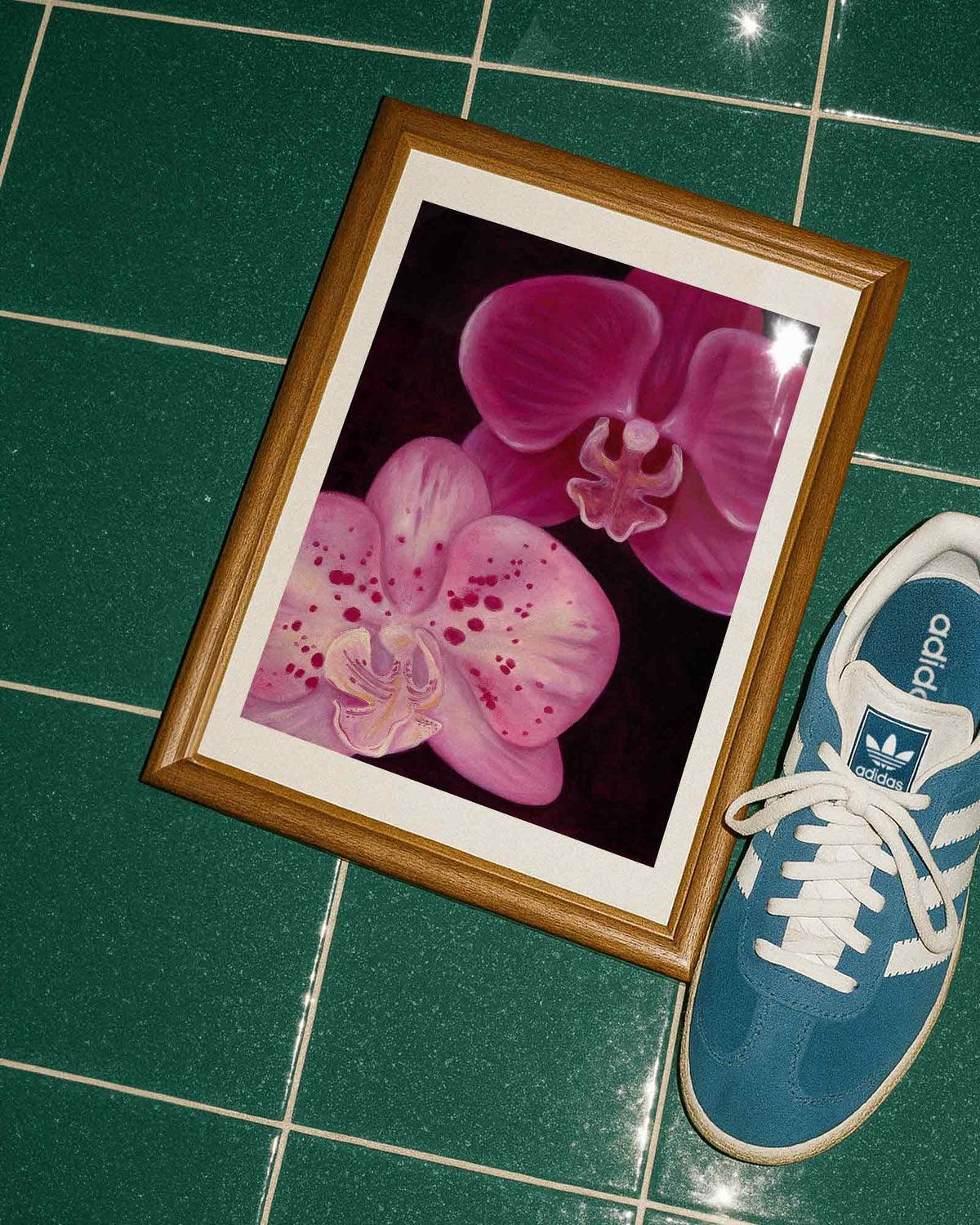Orchid Glow